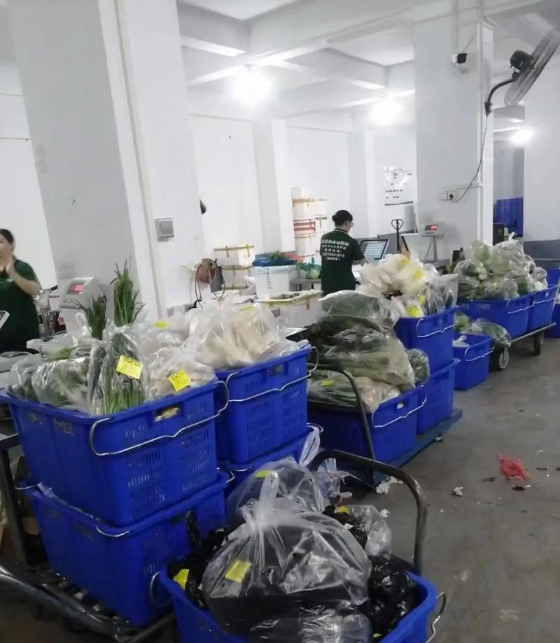 天猫代运营:电商时代的专业护航者